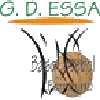 GDESSA 2 (W)