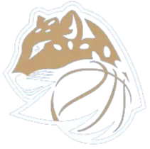 Levhartice Chomutov B Women