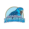 ADU Falcons Women