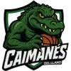 Caimanes del Llano