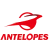 Toyota Antelopes Women