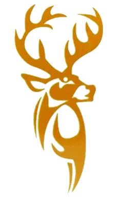San Sebastian Stags