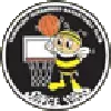 Yamanashi Queen Bees Women
