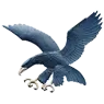 Ateneo Blue Eagles